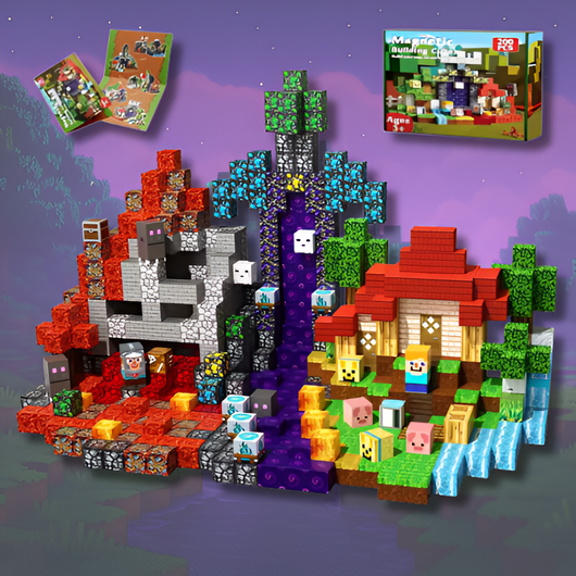 STEM Magnetic Blocks