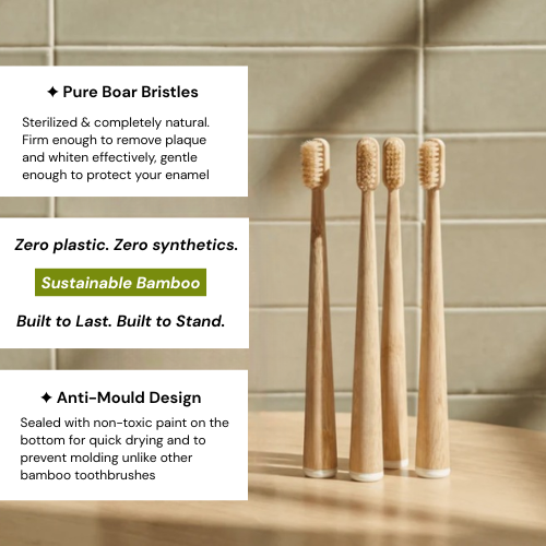Zeffeca Boar Bristle & Bamboo Toothbrush (4 Pack)